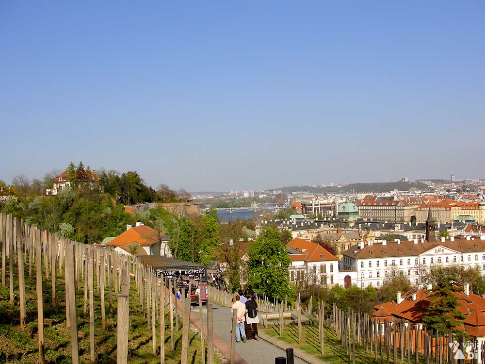 Vinícola no Distrito do Castelo, em Praga, na República Tcheca