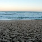 Praias de Florianópolis: Praia Mole, a praia gay
