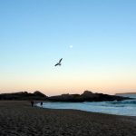 Praias de Florianópolis: Praia Mole, a praia gay