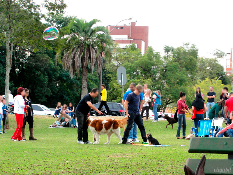 O "Parcão", parque para os cachorros fica na parte de trás do Museu Oscar Niemeyer (MON)