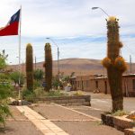 Cacto gigante e bandeira do Chile no Povoado de Socaire