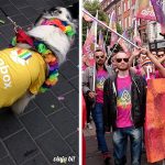 Cachorrinho gay do Dropbox e Air BnB marcando presença - Foto: Paulinho Basile