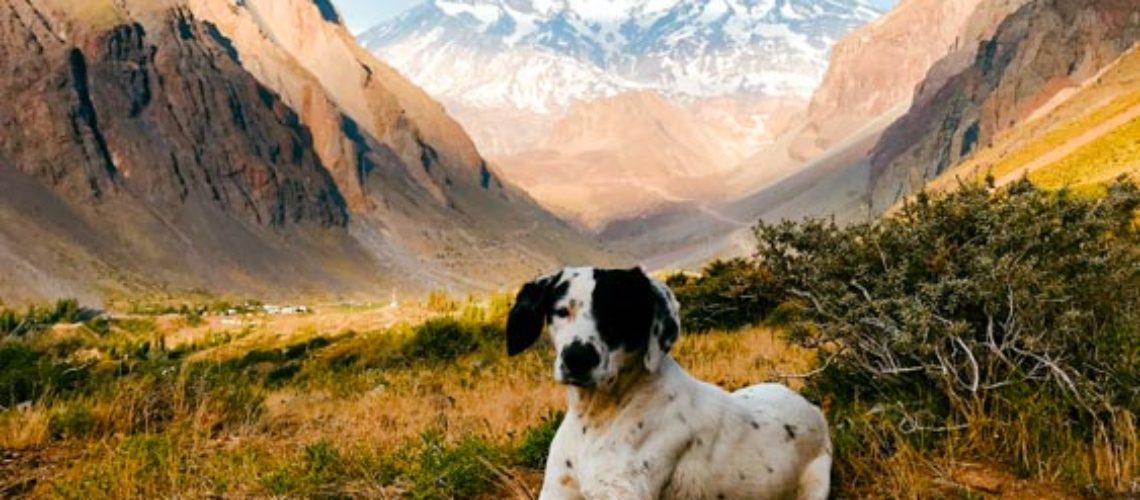 Cajón del Maipo, uma escapada natural no Chile