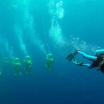 O Aquafari, em Curaçao, é guiado por mergulhador profissional - Foto: Divulgação