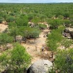 Duncan's Campsite, ao lado da tribo Himba, perto de Kamanjab, na Namíbia