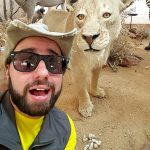Selfie com uma leoa empalhada no museu