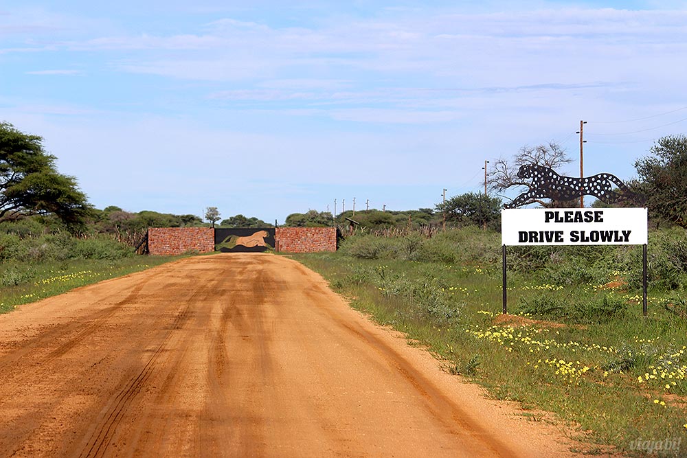 Placa pedindo para dirigir devagar e portão estilizado com uma cheetah, na reserva Okonjima, Namíbia, África