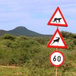 Cheetah e antílope na placa de trânsito na Namíbia, África