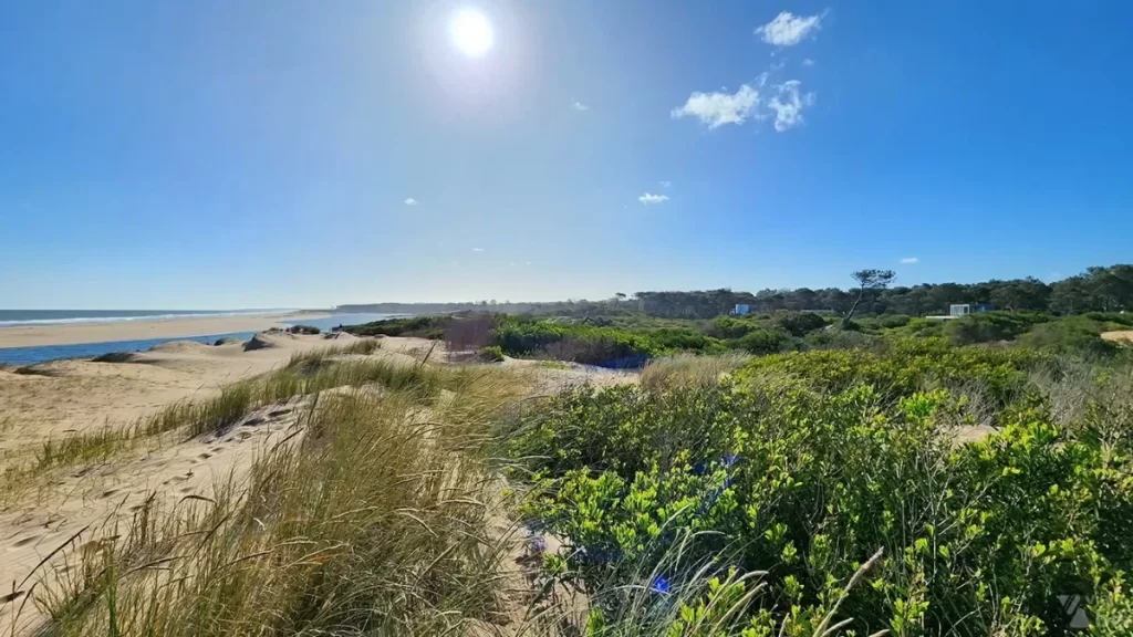 Arbustos e trilhas da praia naturista de Chihuahua, no Uruguai - Imagem: Rafael Leick