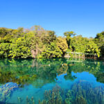 Lago transparente, com vegetação no fundo e natureza exuberante ao redor