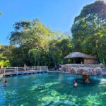 Pessoas relaxam em piscina aquecida com água esverdeada em meio à natureza. Ao fundo, árvores e um bar molhado